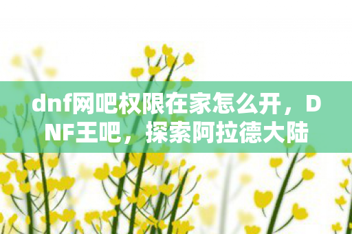 dnf网吧权限在家怎么开,DNF王吧,探索阿拉德大陆的无限可能 dnf网吧权限在家怎么开,DNF王吧,探索阿拉德大陆的无限可能