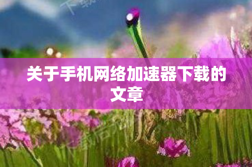 关于手机网络加速器下载的文章 关于手机网络加速器下载的文章