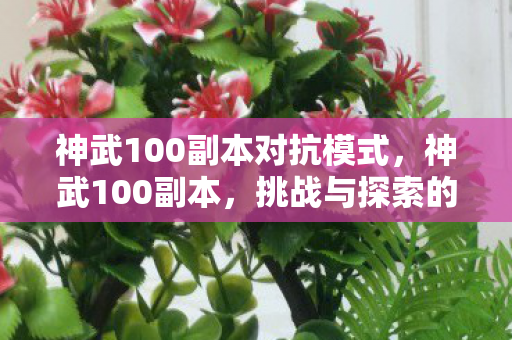 神武100副本对抗模式,神武100副本,挑战与探索的无限可能 神武100副本对抗模式,神武100副本,挑战与探索的无限可能