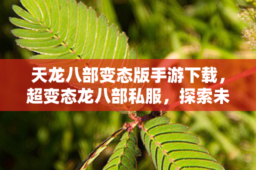 天龙八部变态版手游下载,超变态龙八部私服,探索未知世界的奇妙之旅 天龙八部变态版手游下载,超变态龙八部私服,探索未知世界的奇妙之旅
