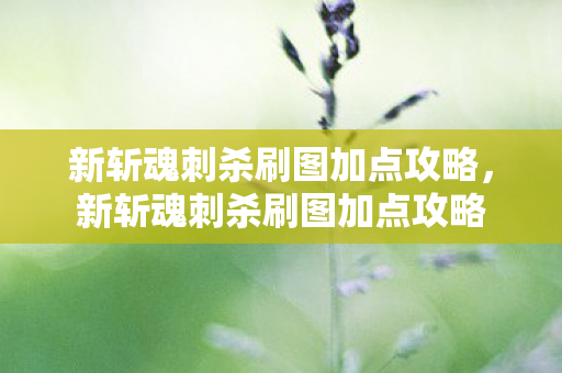 新斩魂刺杀刷图加点攻略,新斩魂刺杀刷图加点攻略 新斩魂刺杀刷图加点攻略,新斩魂刺杀刷图加点攻略