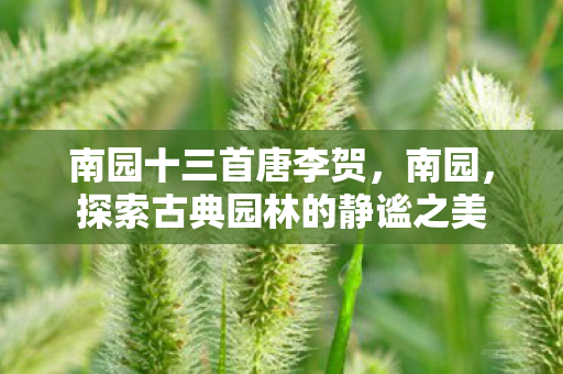 南园十三首唐李贺,南园,探索古典园林的静谧之美 南园十三首唐李贺,南园,探索古典园林的静谧之美