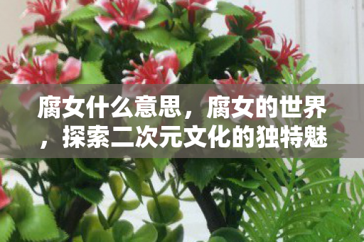 腐女什么意思,腐女的世界,探索二次元文化的独特魅力 腐女什么意思,腐女的世界,探索二次元文化的独特魅力