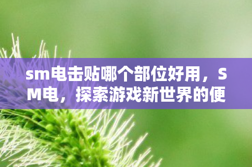 sm电击贴哪个部位好用,SM电,探索游戏新世界的便捷通道 sm电击贴哪个部位好用,SM电,探索游戏新世界的便捷通道