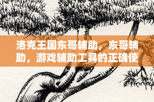 洛克王国东哥辅助,东哥辅助,游戏辅助工具的正确使用与注意事项 洛克王国东哥辅助,东哥辅助,游戏辅助工具的正确使用与注意事项