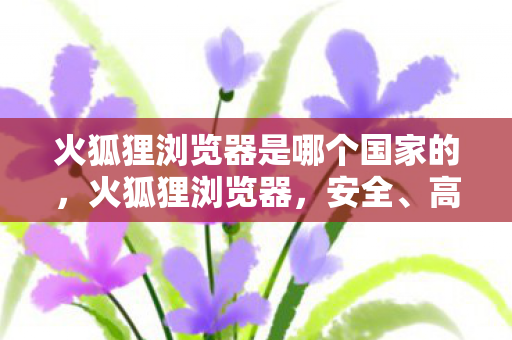 火狐狸浏览器是哪个国家的，火狐狸浏览器，安全、高效、个性化的网络冲浪新选择