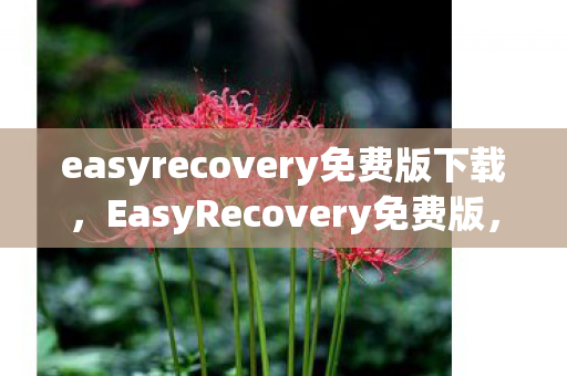 easyrecovery免费版下载，EasyRecovery免费版，数据恢复的新选择