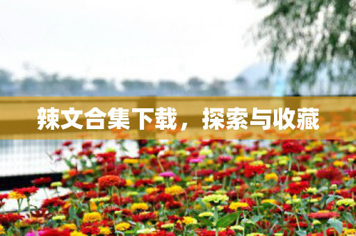 辣文合集下载,探索与收藏 辣文合集下载,探索与收藏