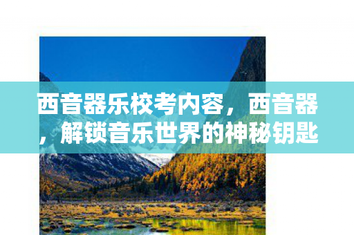 西音器乐校考内容，西音器，解锁音乐世界的神秘钥匙