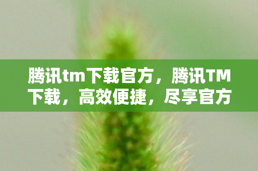 腾讯tm下载官方，腾讯TM下载，高效便捷，尽享官方体验