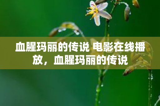 血腥玛丽的传说 电影在线播放,血腥玛丽的传说 血腥玛丽的传说 电影在线播放,血腥玛丽的传说
