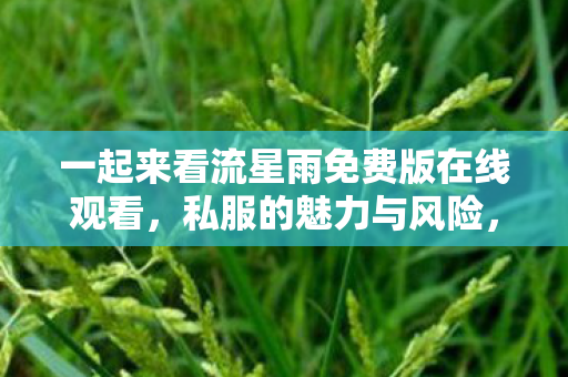 一起来看流星雨免费版在线观看,私服的魅力与风险,探索未知的游戏世界 一起来看流星雨免费版在线观看,私服的魅力与风险,探索未知的游戏世界