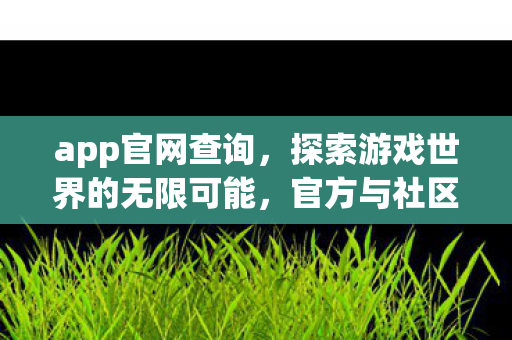 app官网查询，探索游戏世界的无限可能，官方与社区共创的多元体验