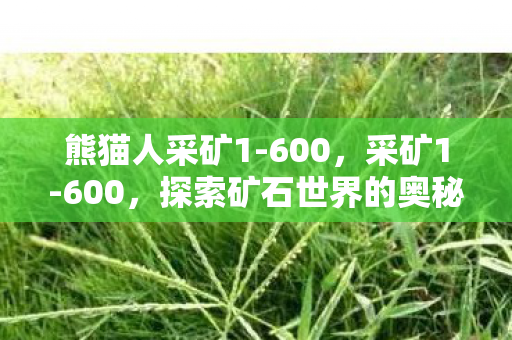 熊猫人采矿1-600,采矿1-600,探索矿石世界的奥秘 熊猫人采矿1-600,采矿1-600,探索矿石世界的奥秘