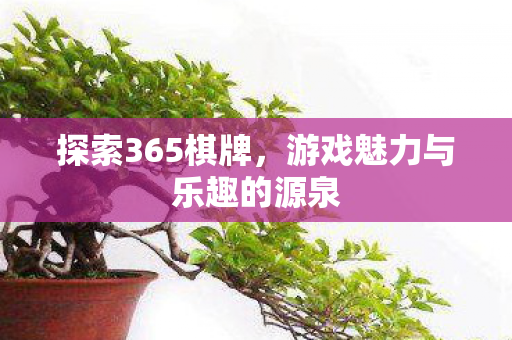 探索365棋牌,游戏魅力与乐趣的源泉 探索365棋牌,游戏魅力与乐趣的源泉