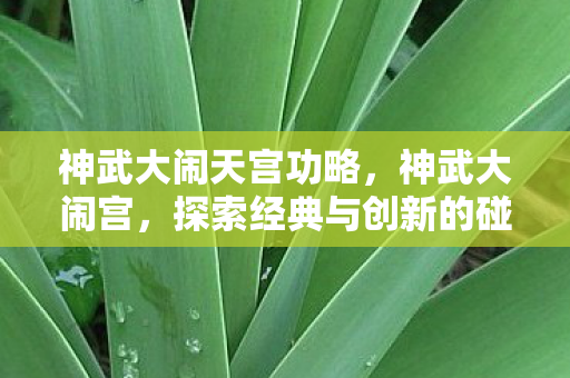 神武大闹天宫功略,神武大闹宫,探索经典与创新的碰撞 神武大闹天宫功略,神武大闹宫,探索经典与创新的碰撞