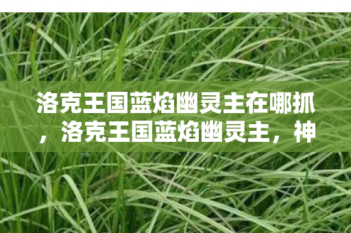 洛克王国蓝焰幽灵主在哪抓,洛克王国蓝焰幽灵主,神秘与力量的化身 洛克王国蓝焰幽灵主在哪抓,洛克王国蓝焰幽灵主,神秘与力量的化身