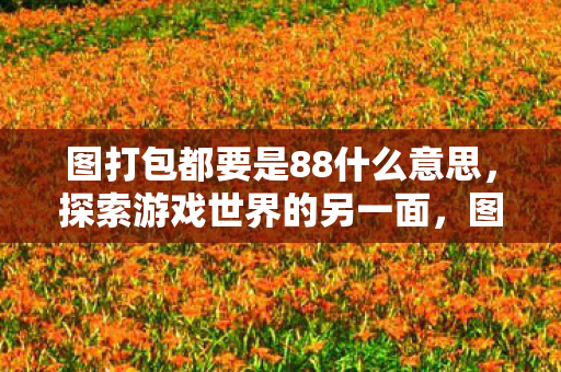 图打包都要是88什么意思，探索游戏世界的另一面，图打包与官方体验的深度对比