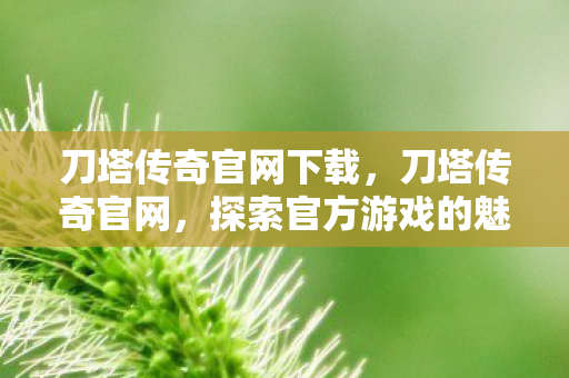 探索官方游戏的魅力与独特之处图片
