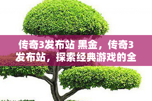 传奇3发布站 黑金,传奇3发布站,探索经典游戏的全新体验 传奇3发布站 黑金,传奇3发布站,探索经典游戏的全新体验