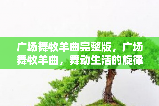 广场舞牧羊曲完整版,广场舞牧羊曲,舞动生活的旋律,传递社区的温暖 广场舞牧羊曲完整版,广场舞牧羊曲,舞动生活的旋律,传递社区的温暖