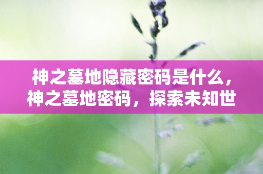 神之墓地隐藏密码是什么，神之墓地密码，探索未知世界的神秘钥匙