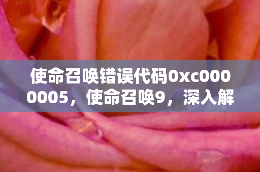 使命召唤错误代码0xc0000005，使命召唤9，深入解析游戏错误与解决方案