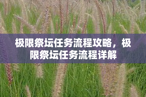 极限祭坛任务流程攻略，极限祭坛任务流程详解