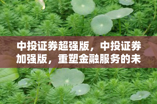 中投证券超强版，中投证券加强版，重塑金融服务的未来