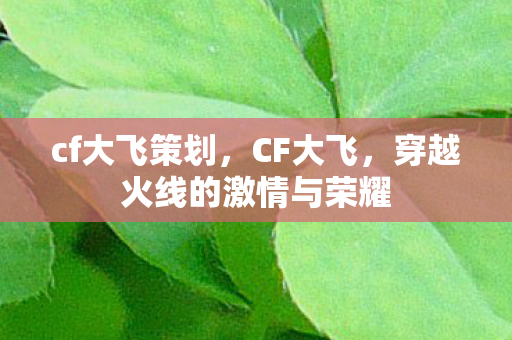 cf大飞策划，CF大飞，穿越火线的激情与荣耀