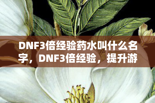 DNF3倍经验药水叫什么名字,DNF3倍经验,提升游戏效率与乐趣的秘诀 DNF3倍经验药水叫什么名字,DNF3倍经验,提升游戏效率与乐趣的秘诀