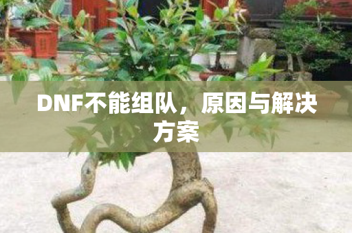 DNF不能组队,原因与解决方案 DNF不能组队,原因与解决方案