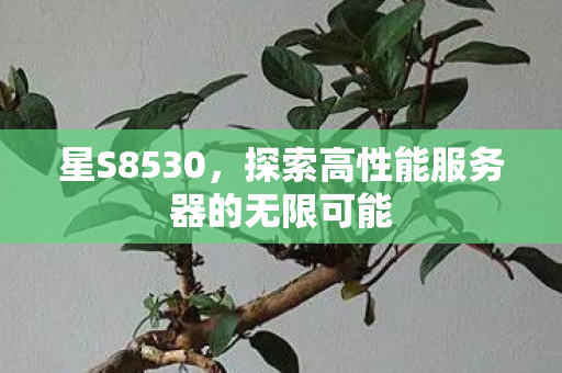 星S8530，探索高性能服务器的无限可能