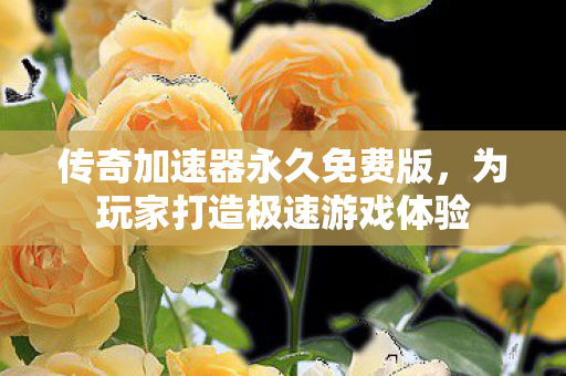 传奇加速器永久免费版,为玩家打造极速游戏体验 传奇加速器永久免费版,为玩家打造极速游戏体验