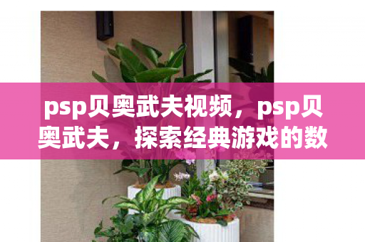 psp贝奥武夫视频,psp贝奥武夫,探索经典游戏的数字重生 psp贝奥武夫视频,psp贝奥武夫,探索经典游戏的数字重生
