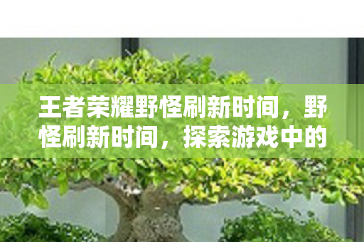 王者荣耀野怪刷新时间，野怪刷新时间，探索游戏中的生态节奏