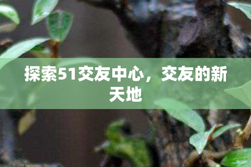 探索51交友中心,交友的新天地 探索51交友中心,交友的新天地