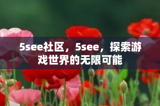 5see社区,5see,探索游戏世界的无限可能 5see社区,5see,探索游戏世界的无限可能