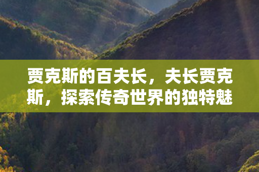 贾克斯的百夫长,夫长贾克斯,探索传奇世界的独特魅力 贾克斯的百夫长,夫长贾克斯,探索传奇世界的独特魅力
