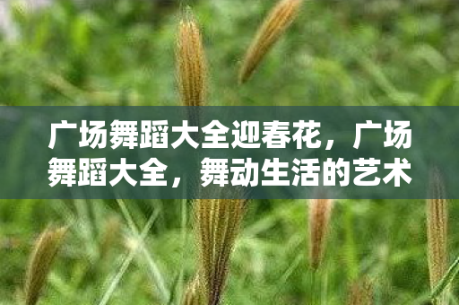 广场舞蹈大全迎春花，广场舞蹈大全，舞动生活的艺术