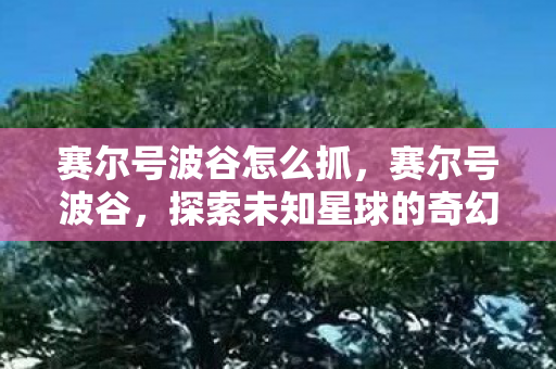 赛尔号波谷怎么抓,赛尔号波谷,探索未知星球的奇幻之旅 赛尔号波谷怎么抓,赛尔号波谷,探索未知星球的奇幻之旅