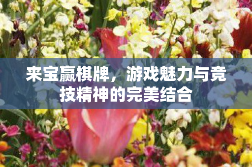 来宝赢棋牌,游戏魅力与竞技精神的完美结合 来宝赢棋牌,游戏魅力与竞技精神的完美结合
