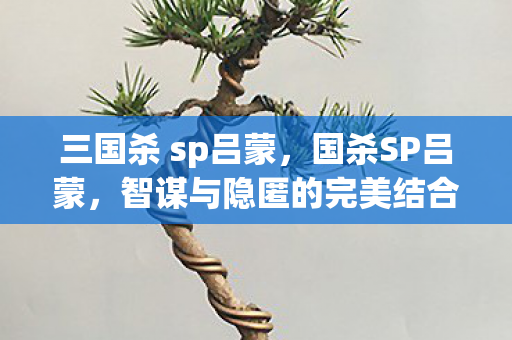 三国杀 sp吕蒙,国杀SP吕蒙,智谋与隐匿的完美结合 三国杀 sp吕蒙,国杀SP吕蒙,智谋与隐匿的完美结合