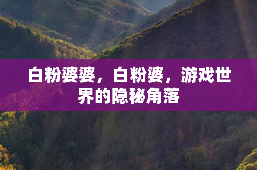 白粉婆婆,白粉婆,游戏世界的隐秘角落 白粉婆婆,白粉婆,游戏世界的隐秘角落