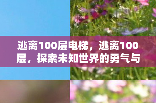 逃离100层电梯,逃离100层,探索未知世界的勇气与智慧 逃离100层电梯,逃离100层,探索未知世界的勇气与智慧