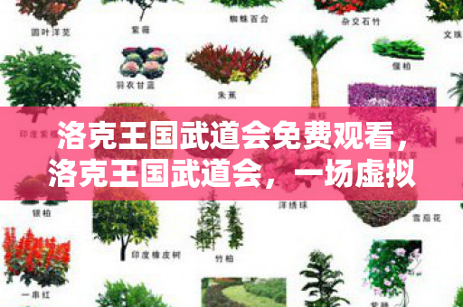 洛克王国武道会免费观看,洛克王国武道会,一场虚拟世界的荣耀之战 洛克王国武道会免费观看,洛克王国武道会,一场虚拟世界的荣耀之战
