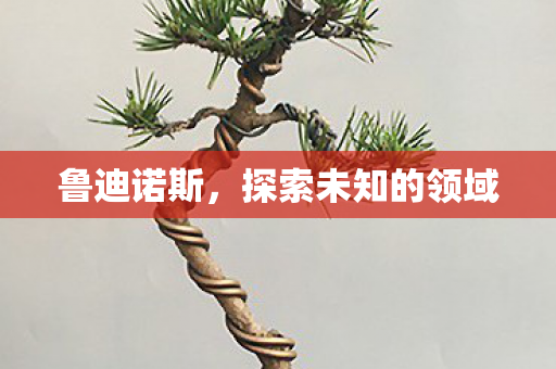 鲁迪诺斯,探索未知的领域 鲁迪诺斯,探索未知的领域