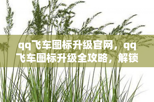 qq飞车图标升级官网,qq飞车图标升级全攻略,解锁速度与激情的钥匙 qq飞车图标升级官网,qq飞车图标升级全攻略,解锁速度与激情的钥匙