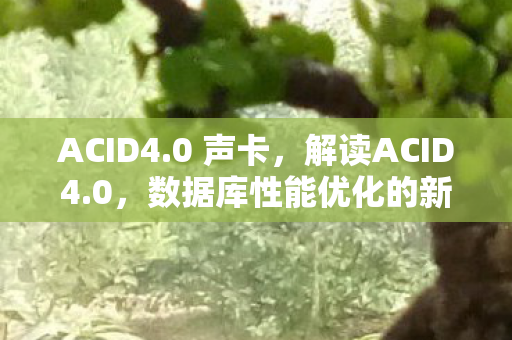 ACID4.0 声卡,解读ACID4.0,数据库性能优化的新标杆 ACID4.0 声卡,解读ACID4.0,数据库性能优化的新标杆