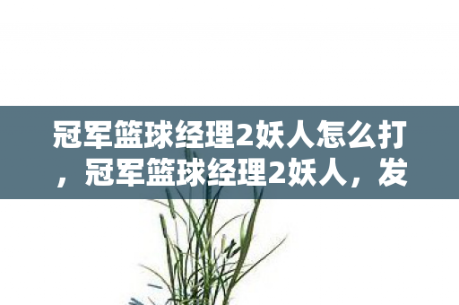 冠军篮球经理2妖人怎么打,冠军篮球经理2妖人,发掘潜力新星,重塑球队未来 冠军篮球经理2妖人怎么打,冠军篮球经理2妖人,发掘潜力新星,重塑球队未来